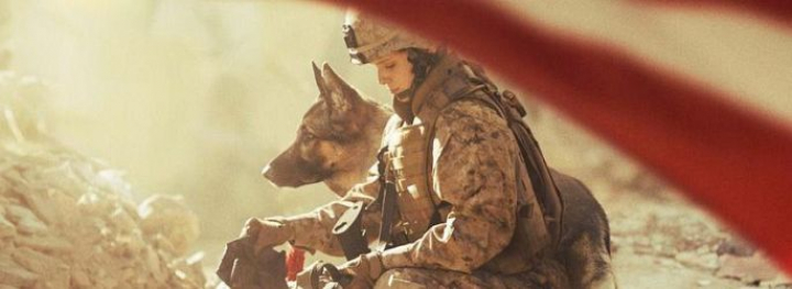 Sergeant Rex Nicht ohne meinen Hund Film 2017 Kritik Trailer